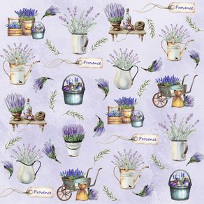 provence8v