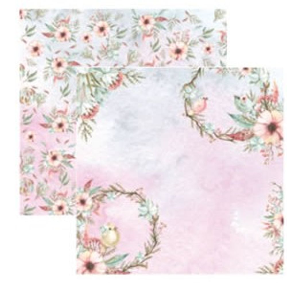 Xaztr Lot De 6 Boîtes à Gâteau Hautes Avec Fenêtre Et