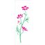 1719---10x30-Simples---Flor-Cosmos