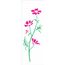 1719---10x30-Simples---Flor-Cosmos