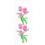 0972---10X30-Simples---Flores-Tulipas-I