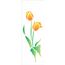 1720---10x30-Simples---Flores-Tulipas-II