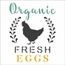 2903---10x10-Simples---FarmHouse-Organic-Fresh-Eggs