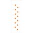 0020---10x30-Simples---Estrelas-Gr