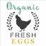 2923---14x14-Simples---FarmHouse-Organic-Fresh-Eggs