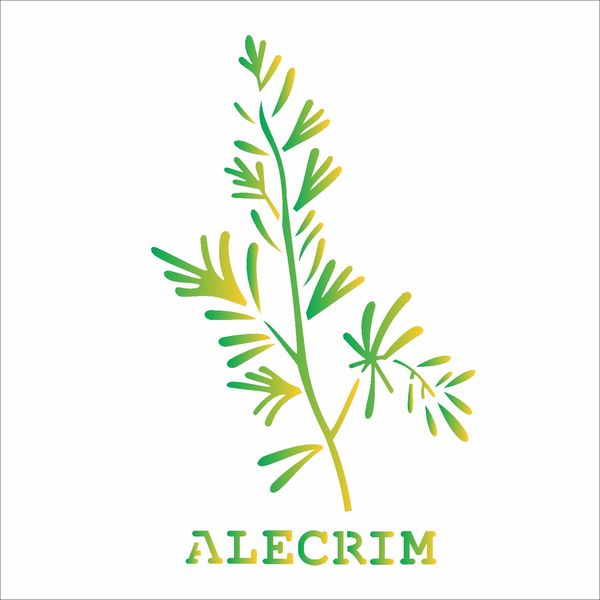 2007---14x14-Simples---Tempero-Alecrim