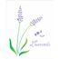 1780---20X25-Simples---Flor-Lavanda