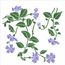 3225---305x305-Simples---Flor-Tumbergias