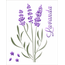 3390---20x25-Simples---Flor-Lavanda-II