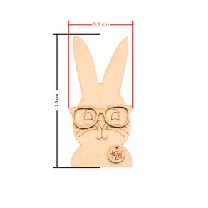 COELHO-DE-OCULOS-MEDIDAS