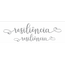 palavra-resiliencia-