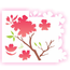 flor-cerejeira-