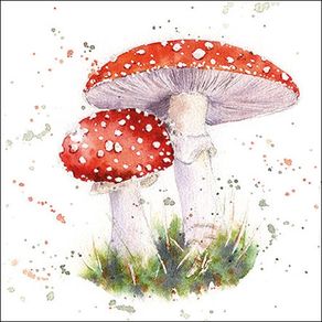 guardanapo-painted-fly-agaric
