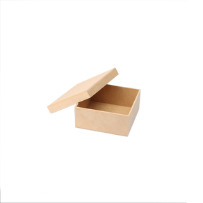 caixa-tampa-de-sapato-12x12x5-2