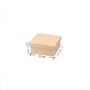 caixa-tampa-de-sapato-12x12x5-medidas