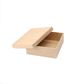 caixa-tampa-de-sapato-15x15x5-2