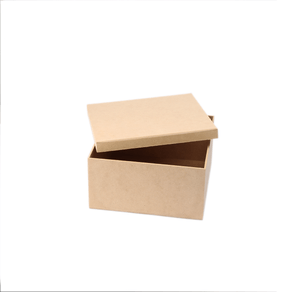 caixa-tampa-de-sapato-20x20x10-2