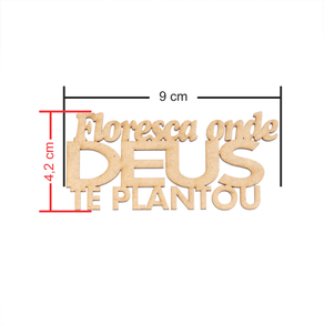 aplique-floresca-onde-deus-te-plantou-medidas
