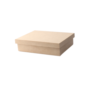 Caixa-Tampa-de-Sapato-20x15x5