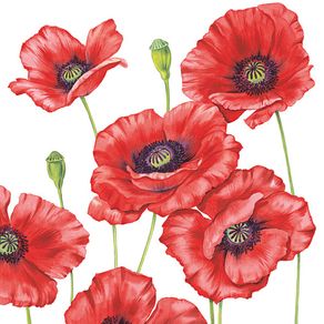 GUARDANAPOS-DECOUPAGE-33X33-ROMANTIC-POPPY