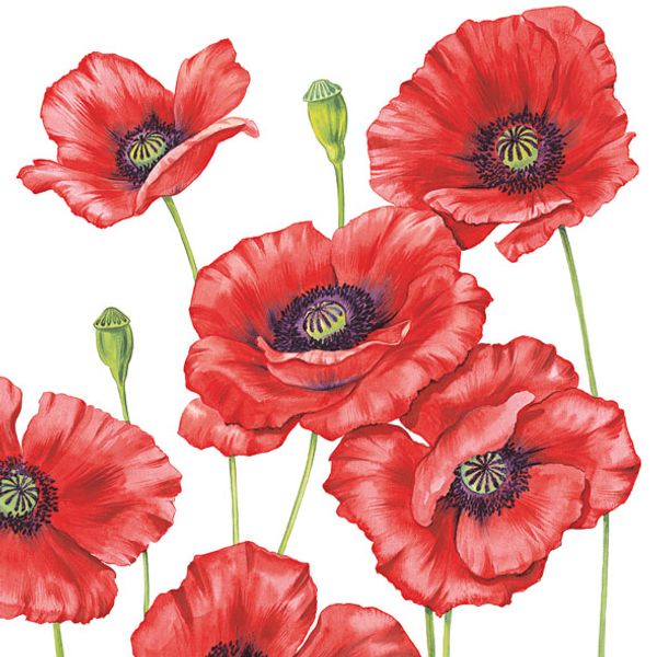 GUARDANAPOS-DECOUPAGE-33X33-ROMANTIC-POPPY