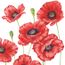 GUARDANAPOS-DECOUPAGE-33X33-ROMANTIC-POPPY