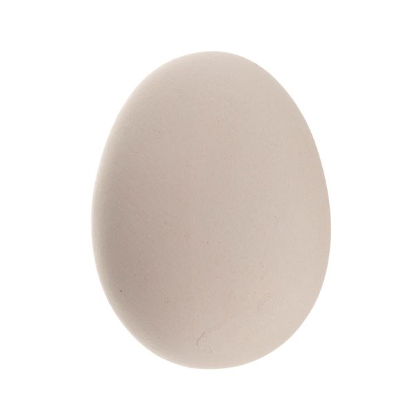 Ovo-Grande.JPG