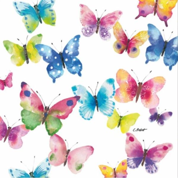 Butterfly-Phantasy-133002967