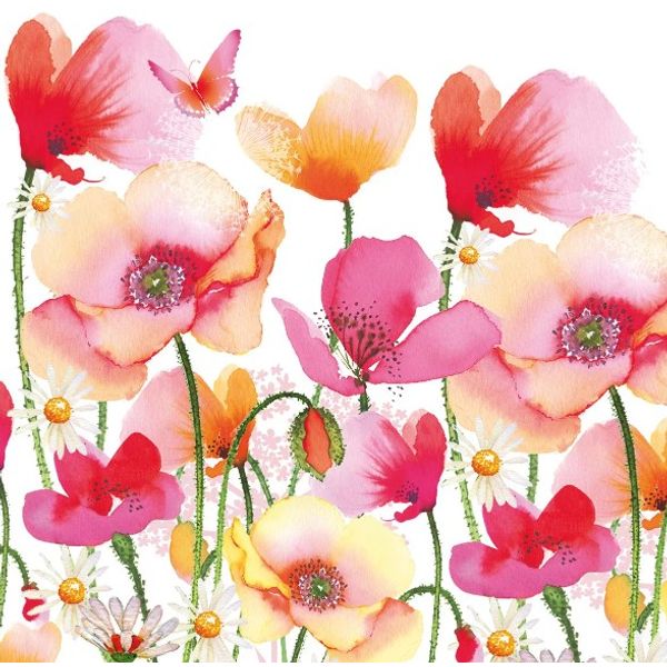 Aquarell-Poppies---Daisies-1331922