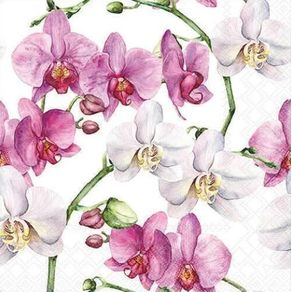 Elegant-Orchids-White-13319605