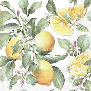 Limoni-13316065