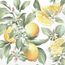 Limoni-13316065
