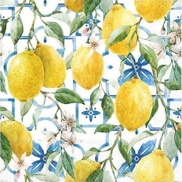 MEditerranean-Lemons-13319660