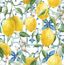 MEditerranean-Lemons-13319660