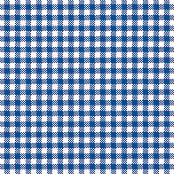 Vichy-blue-13305705