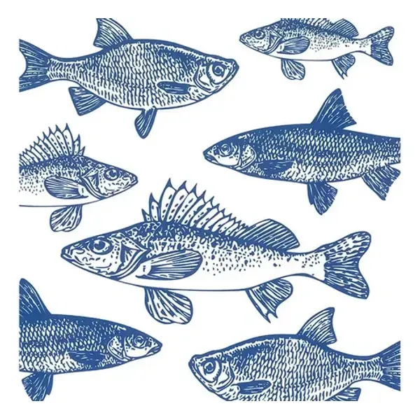 D_NQ_NP_624271-MLA84125902078_052025-O