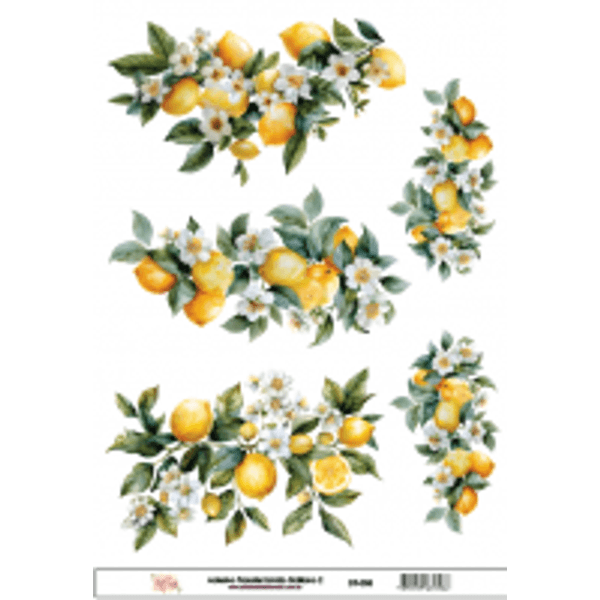 dt-058adesivo-transfer-limao-siciliano-2tam--21-0x14-8cm--1-