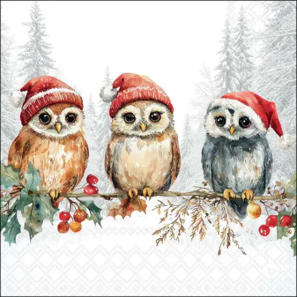 155548